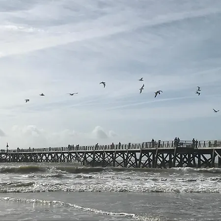 Daire Vue T2 De 51m2 Avec 1