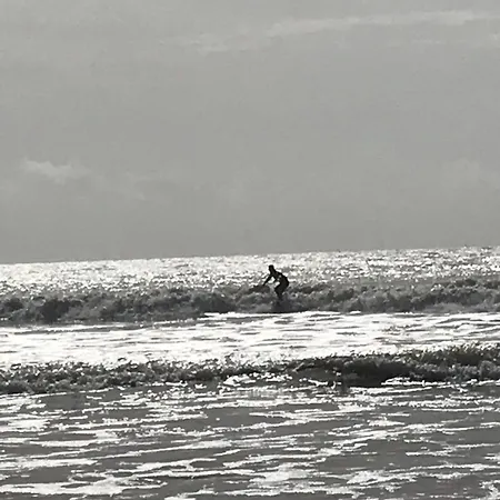 Vue T2 De 51m2 Avec 1 *