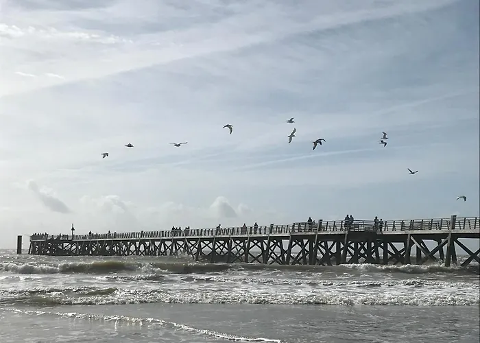 דירה Vue T2 De 51m2 Avec 1